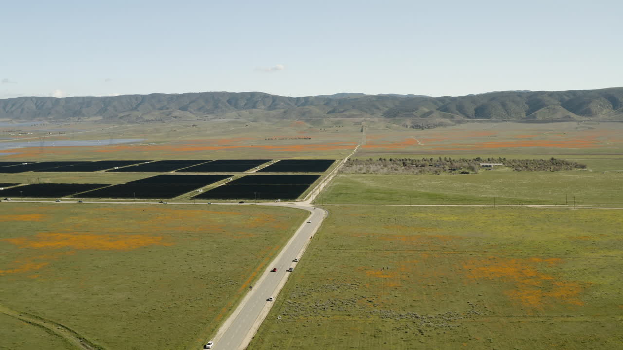 volando sobre paneles solares y amapolas de california