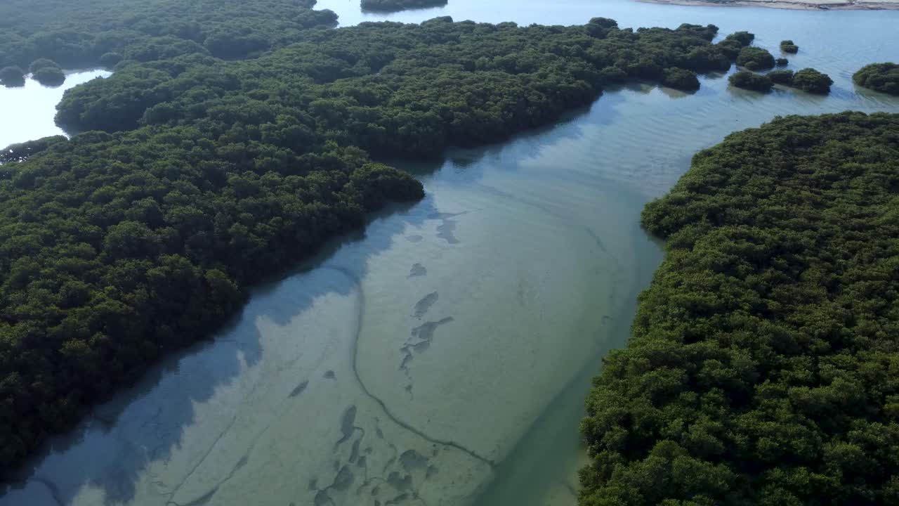 화창한 날에 해안 식물과 바닷물의 공중 선회 샷, 타루트 섬
