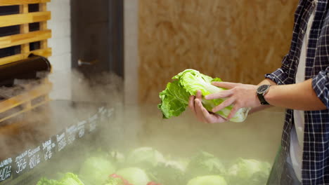 person holding a head of bok choy in a grocery store