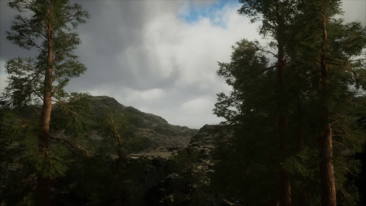 niebla y pinos en la escarpada ladera de la montaña y la tormenta que viene