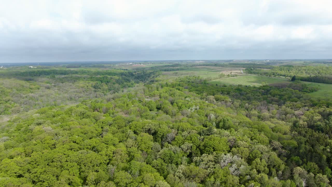 toma aérea en movimiento hacia adelante de un espeso bosque en un día nublado