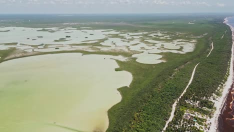 aerial view, vibrant coastal lagoons and forested land between ocean and wetlands. a visual contrast of water bodies and vegetation