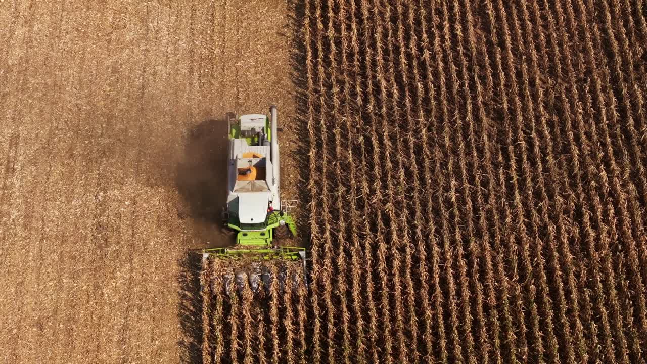 Veduta aerea di campi coltivati per la raccolta del grano a Steti, Repubblica Ceca.
