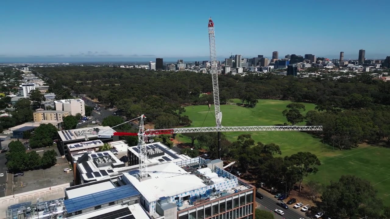 A mobile crane dismantles a tower crane atop a rooftop with solar panels. The jib extends over a green park with city skyline in the background. Construction workers and equipment are visible onsite