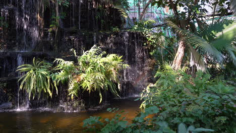 a small indoor manmade waterfalls with the water falling over the rocks and through the many tropical plants