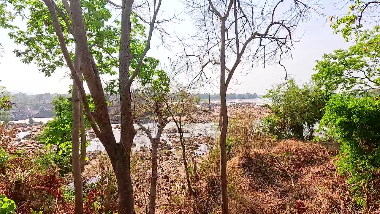 A tranquil scene of Khone Phapheng Falls in Champasak, Laos, captured with gentle camera movement and natural lighting
