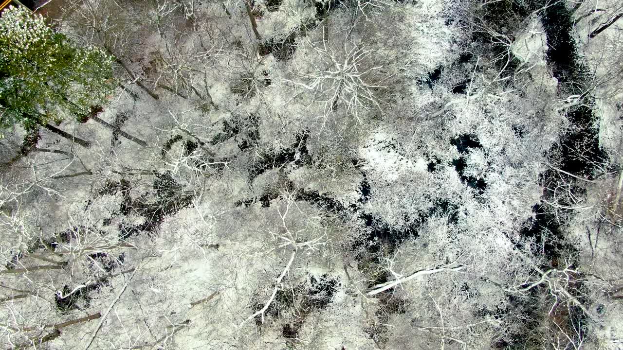 Cold frozen winter snow covered forest canopy foliage nature, aerial North America