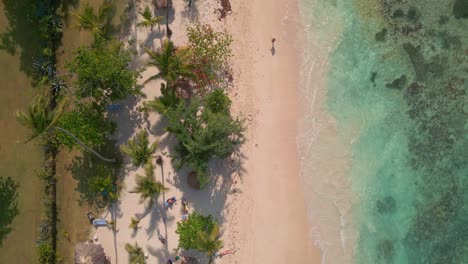 vertical format of la playita beach at las galeras in samana peninsula, dominican republic