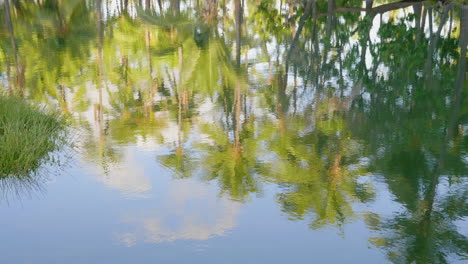 mauna lani fish ponds reflections, hawaii mauna lani