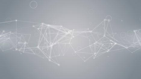 plexus abstract network white technology science background loop