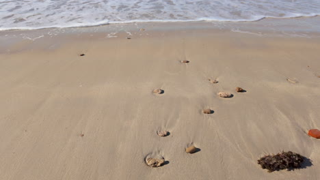 trail of footprints on a pristine sandy beach leading to the ocean