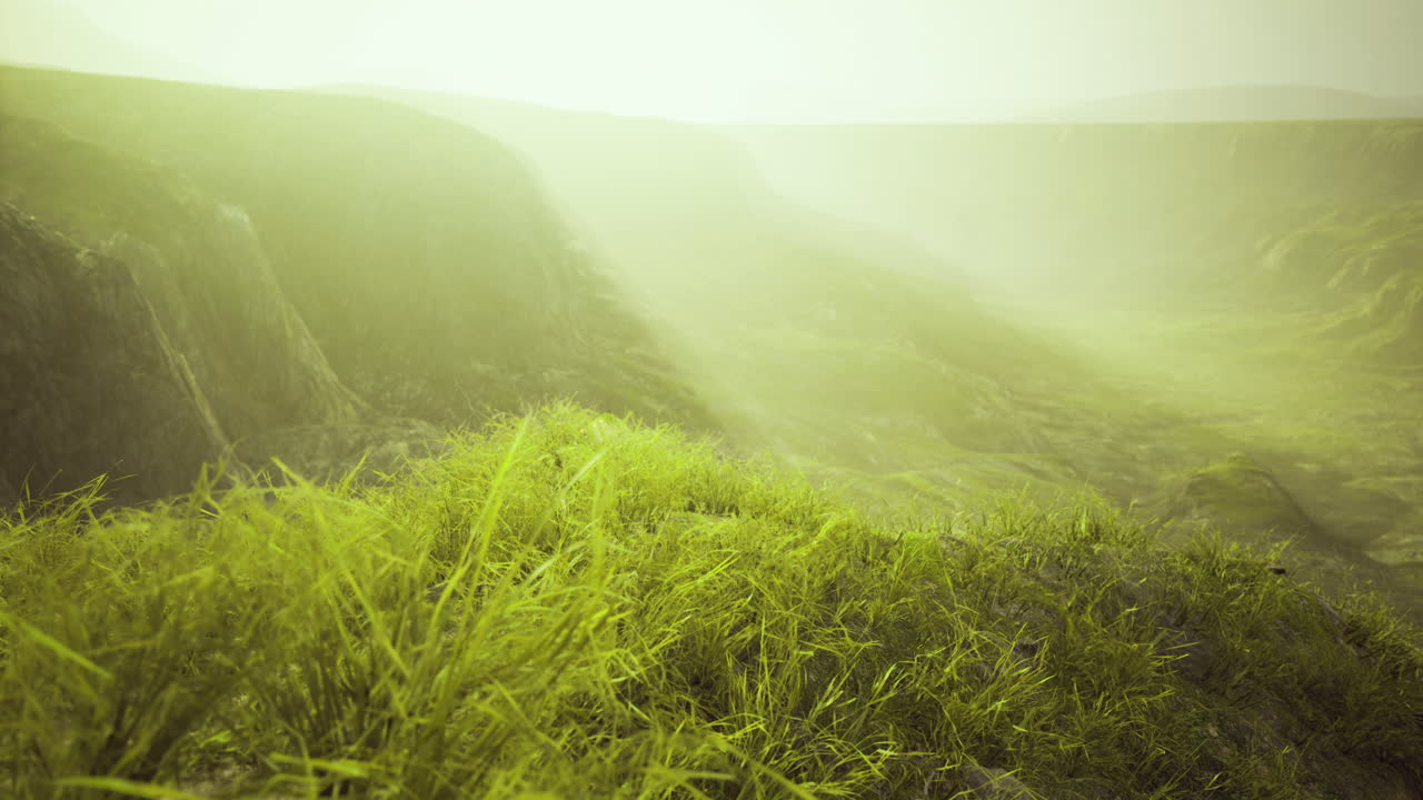 Vast green landscape with misty valley view during sunlight hours