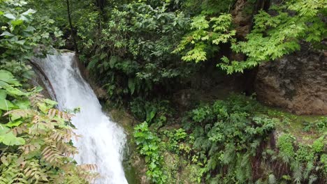 cascada en medio de la selva