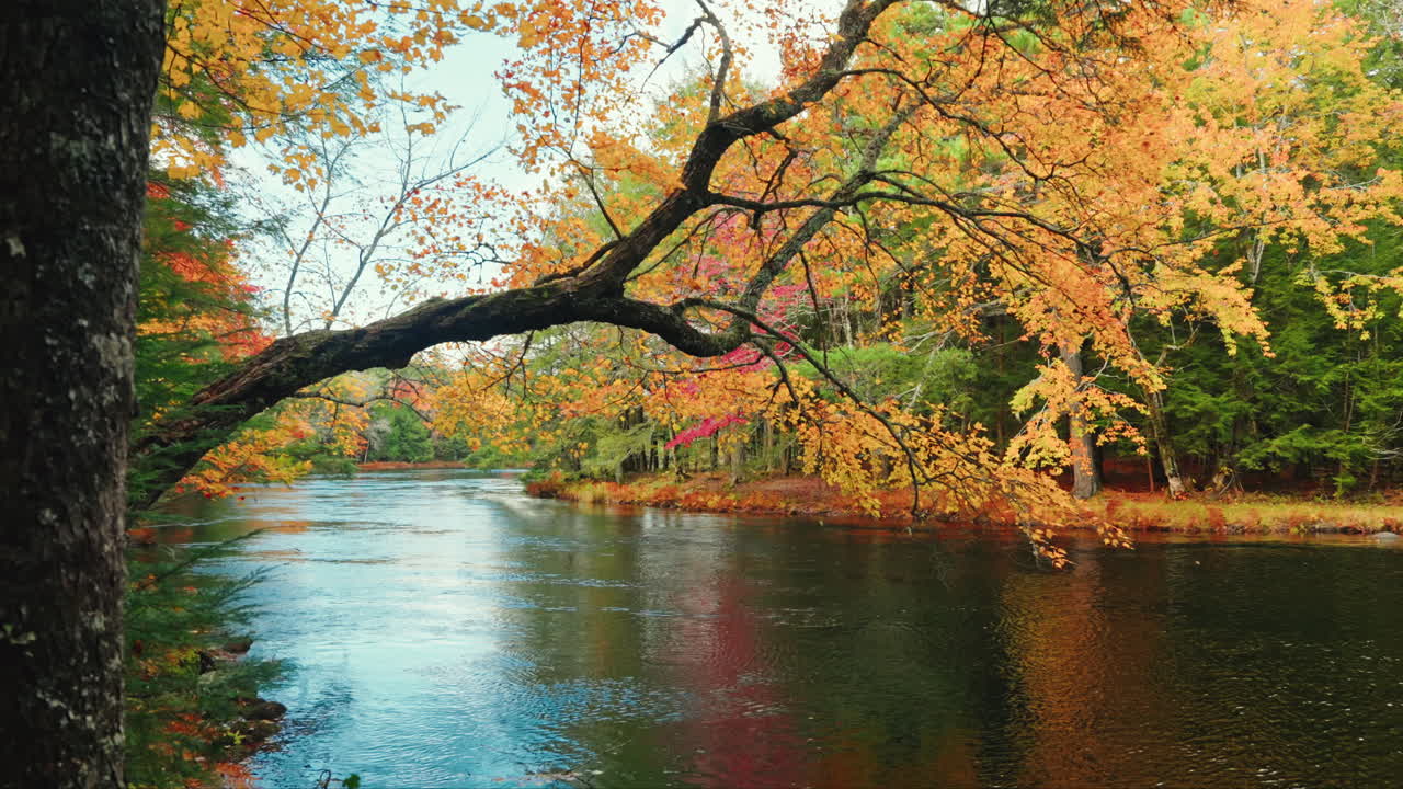 Picturesque view of the Kejimkujik National Park in autumn. View of the river and colorful tree foliage. Scenic landscape. Serene wilderness sanctuary. Dense forest and pristine lakes.