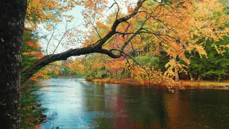 picturesque view of the kejimkujik national park in autumn. view of the river and colorful tree foliage. scenic landscape. serene wilderness sanctuary. dense forest and pristine lakes.
