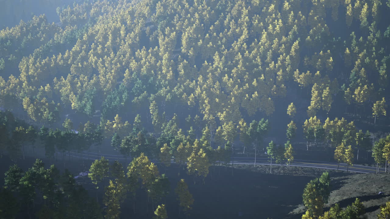 Vibrant forest landscape captured during early morning mist in serene nature