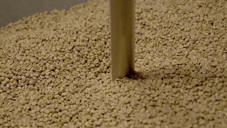 Industrial coffee machine with raw beans inside falling in, close up slow motion shot