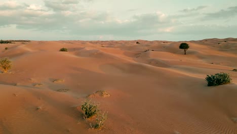 flying over middle eastern desert