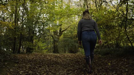 Mujer-Caminando-Por-El-Bosque-En-Lanhydrock,-Cornualles,-Reino-Unido---Ancho