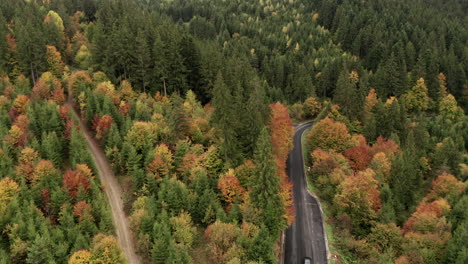 Vista-Aérea-Del-Coche-Que-Se-Mueve-A-Lo-Largo-De-La-Carretera-En-Un-Bosque-De-Montaña-De-Otoño-En-Rumania