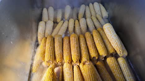 steaming corn in a commercial container