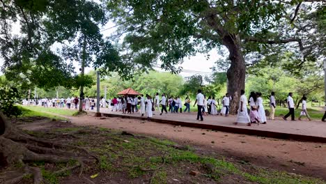 sri lankans dressed in white walk along a path towards a temple in the serene landscape of anuradhapura, sri lanka.