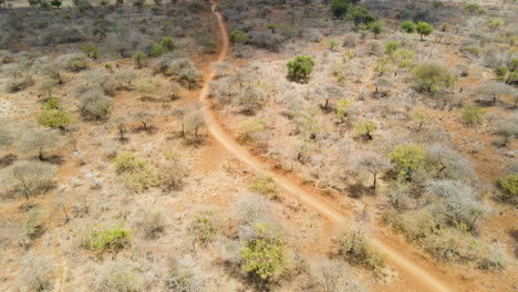 antena de una motocicleta distante conduciendo por un camino de tierra en la zona rural de kenia - un dron volando hacia atrás