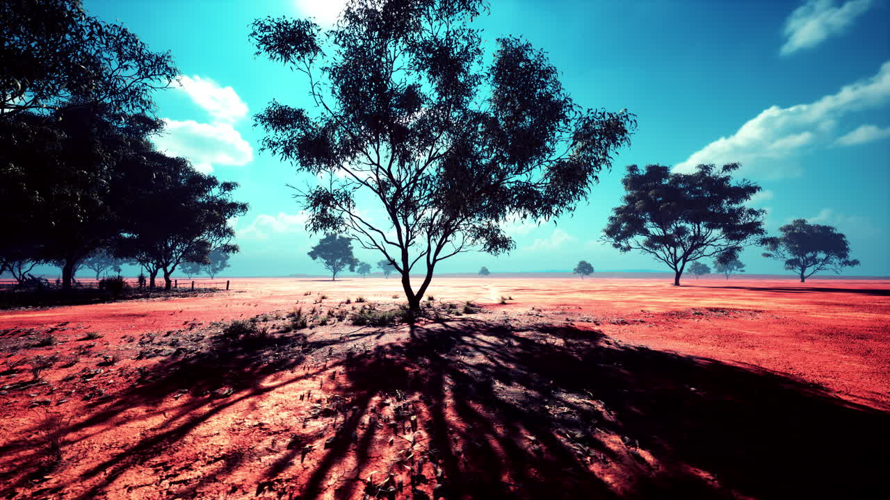 생생한 하늘 아래의 나무와 함께 사막 풍경