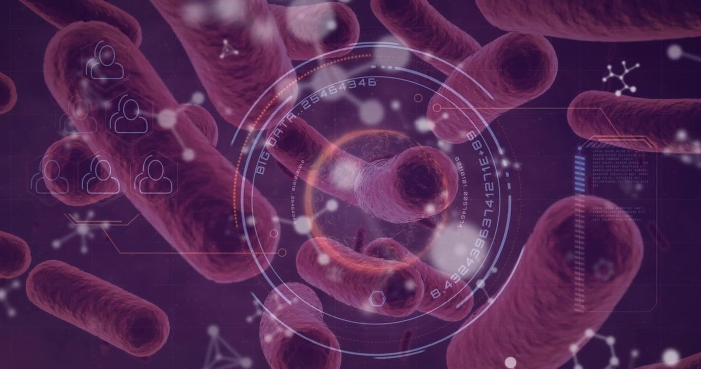 Animazione di forme rosse ed elaborazione dati su molecole e cellule virali.