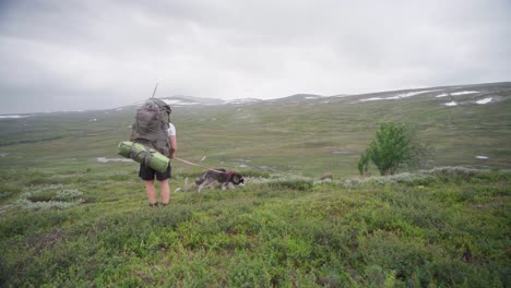 hiker with backpack stops in the grassy hill of mountain to rest with his dog