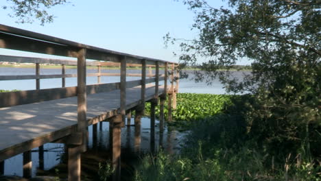 wooden walkway over the pond, beside the landscape surrounding the pond, water, water lilies, vegetation and trees