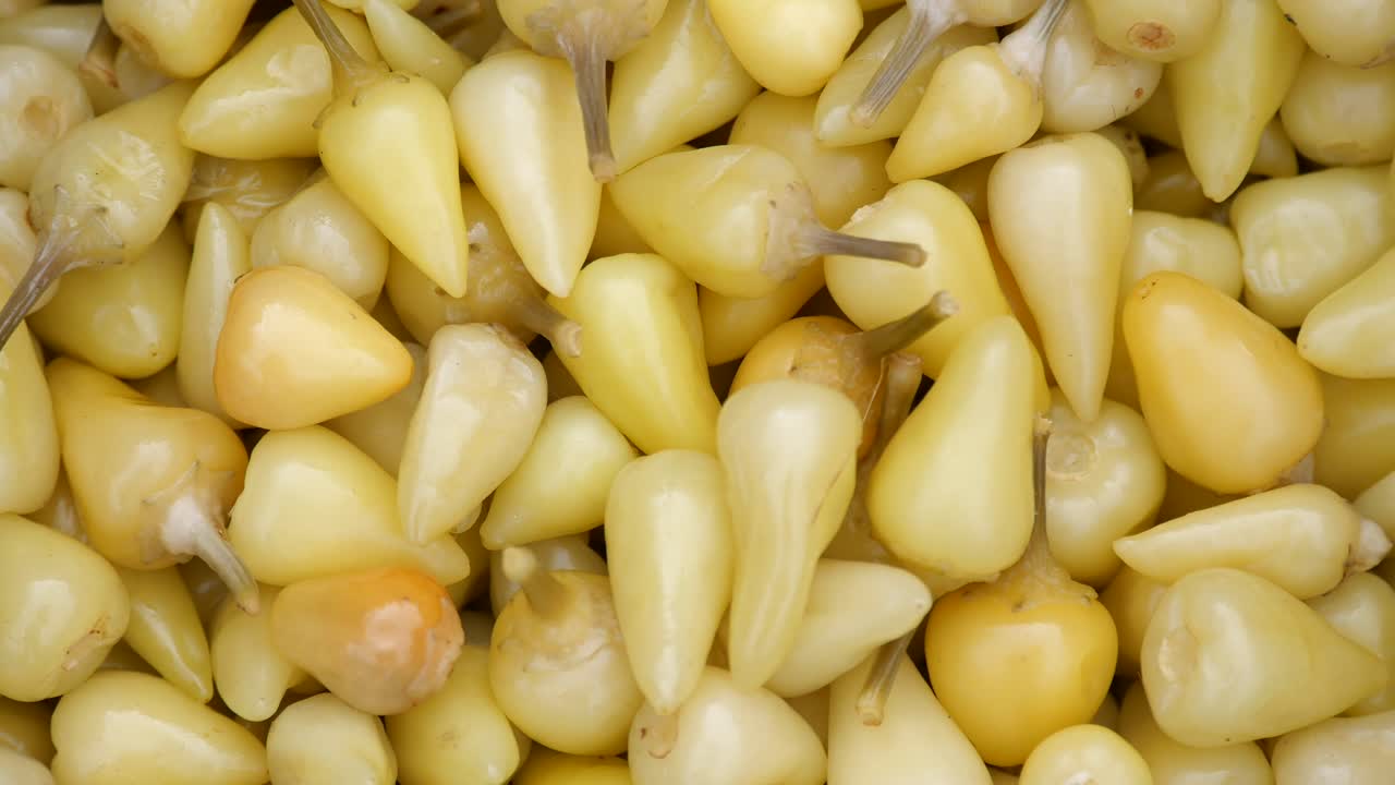 primer plano de pimientos amarillos encurtidos