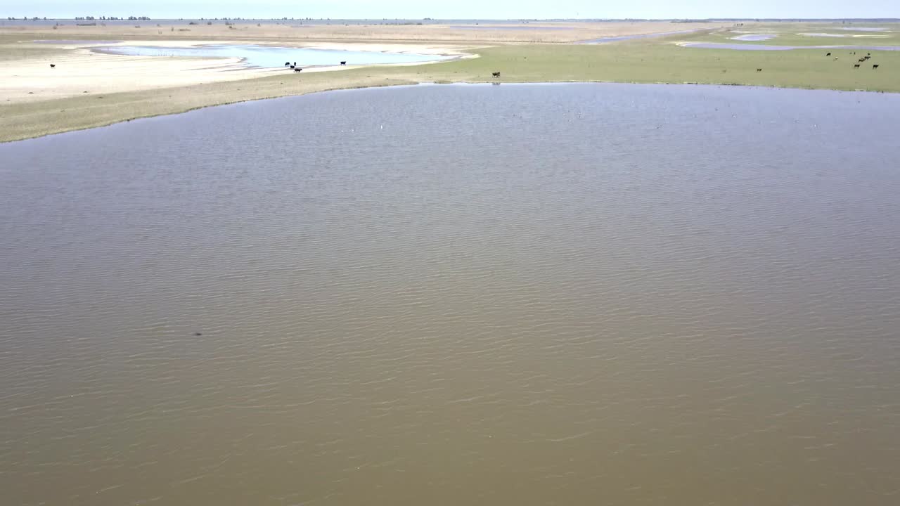 네덜란드 플레볼란드 오스트바더스 플라센 국립공원 에 있는 헤크 가축 과 코닉 말 의 공중 사진