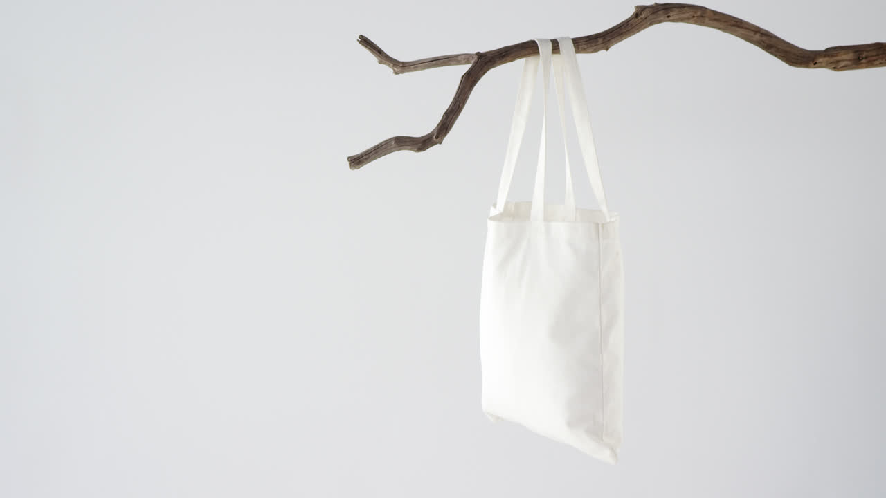 나 ⁇ 가지 에 매달린  ⁇ 드백