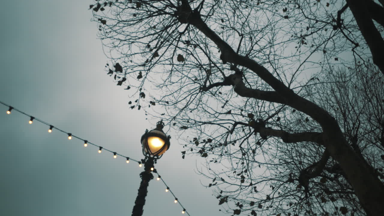 Victorian lamp post streetlight and tree branch on a grey overcast sky