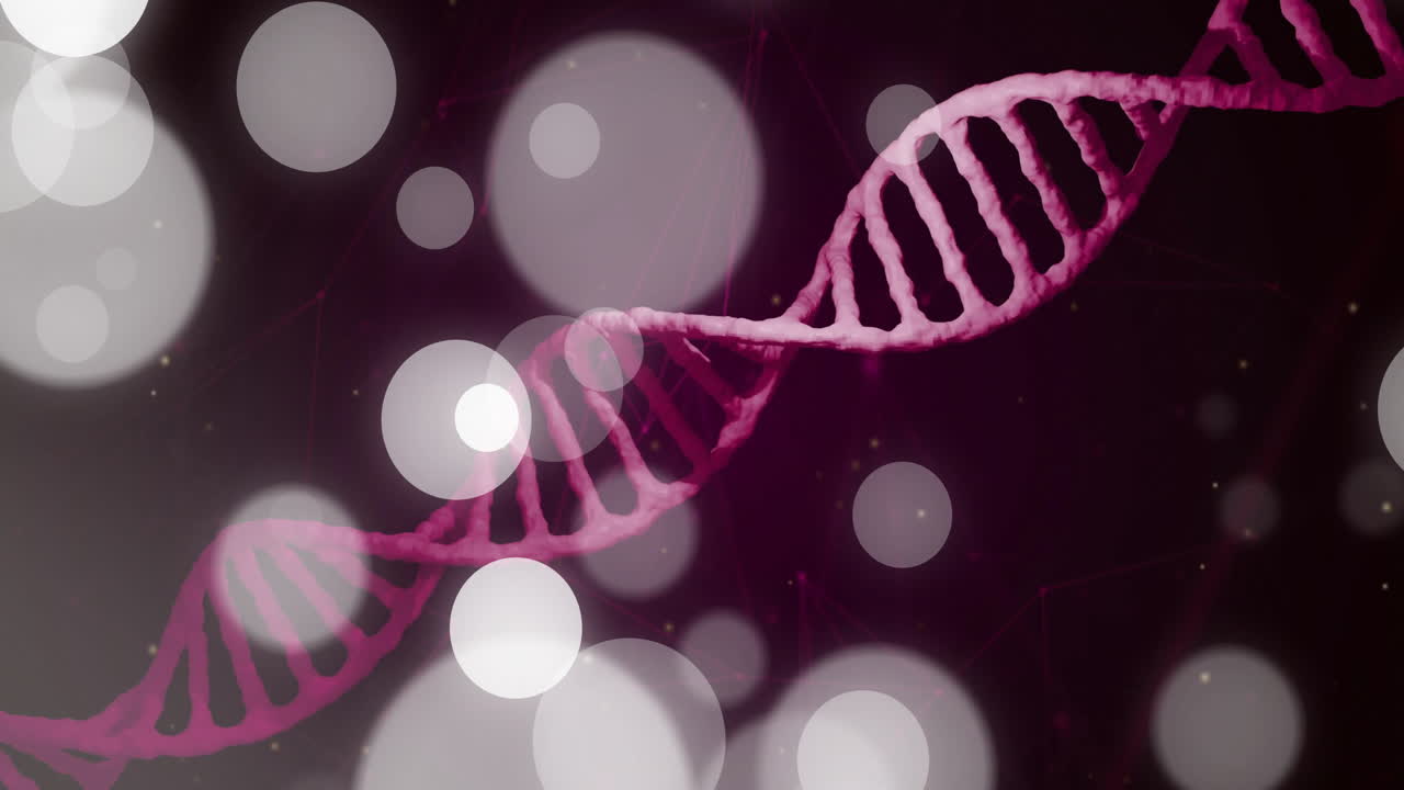 Elaborazione di dati scientifici, filamento di DNA con luci bokeh in animazione.
