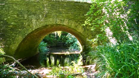 going under a small stone bridge