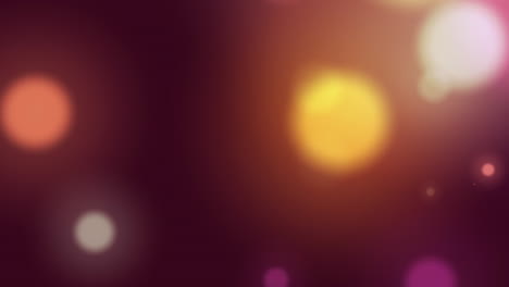 animation of multicolored lens flares over black background