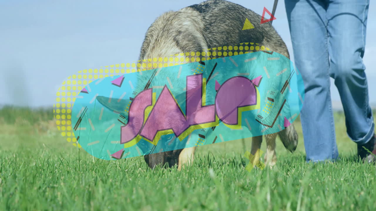 Sniffing grass, dog with colorful SALE text animation overlay in outdoor setting