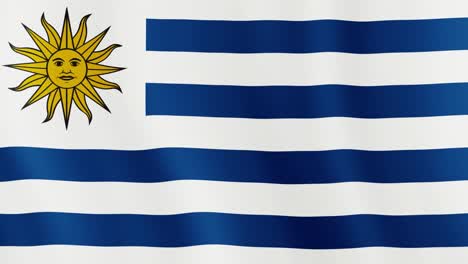 movimiento de la bandera de uruguay