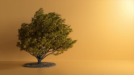 Baum-Im-Studio-Auf-Orangefarbenem-Hintergrund,-Der-Wind-Schüttelt-Äste-Und-Blätter-3D-Animation