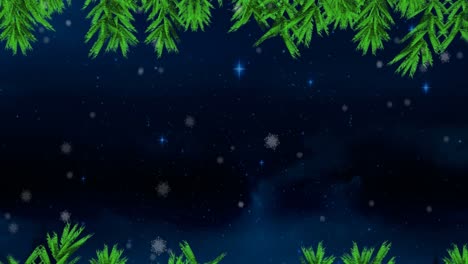 Green-tree-branches-and-snow-falling-against-blue-shining-stars-in-night-sky