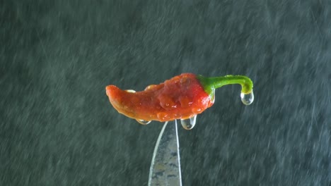 Rote-Jalapeno-Würzige-Chilischote-Tropfnass-Auf-Scharfem-Messer-Mit-Nach-Oben-Gerichtetem-Wasserstrahl-Vor-Schwarzem-Hintergrund