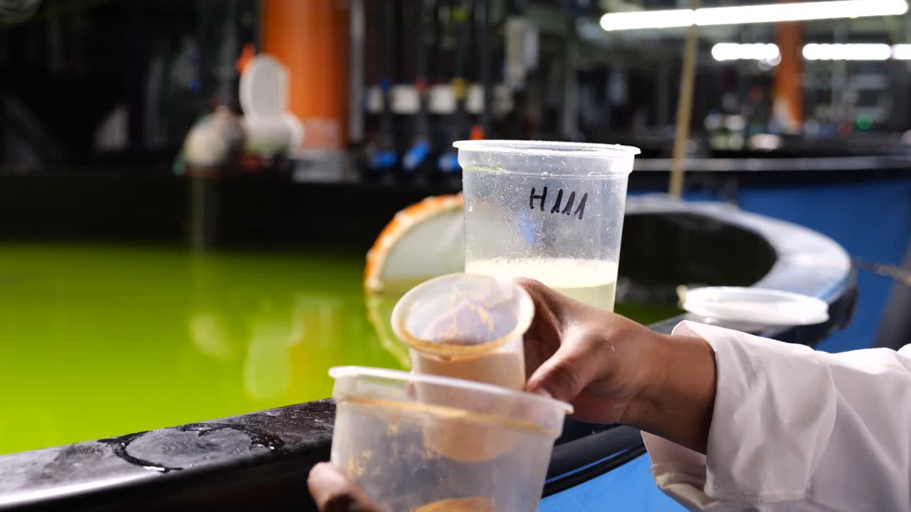 물고기 알을 준비하여 수산 양식 시설의 물 연못에 첨가합니다.