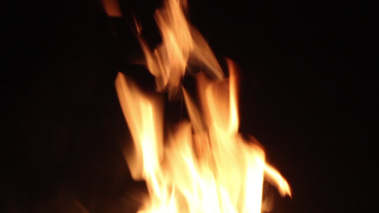 Big flames of bonfire in dark forest stock video I Flame of campfire stock video background