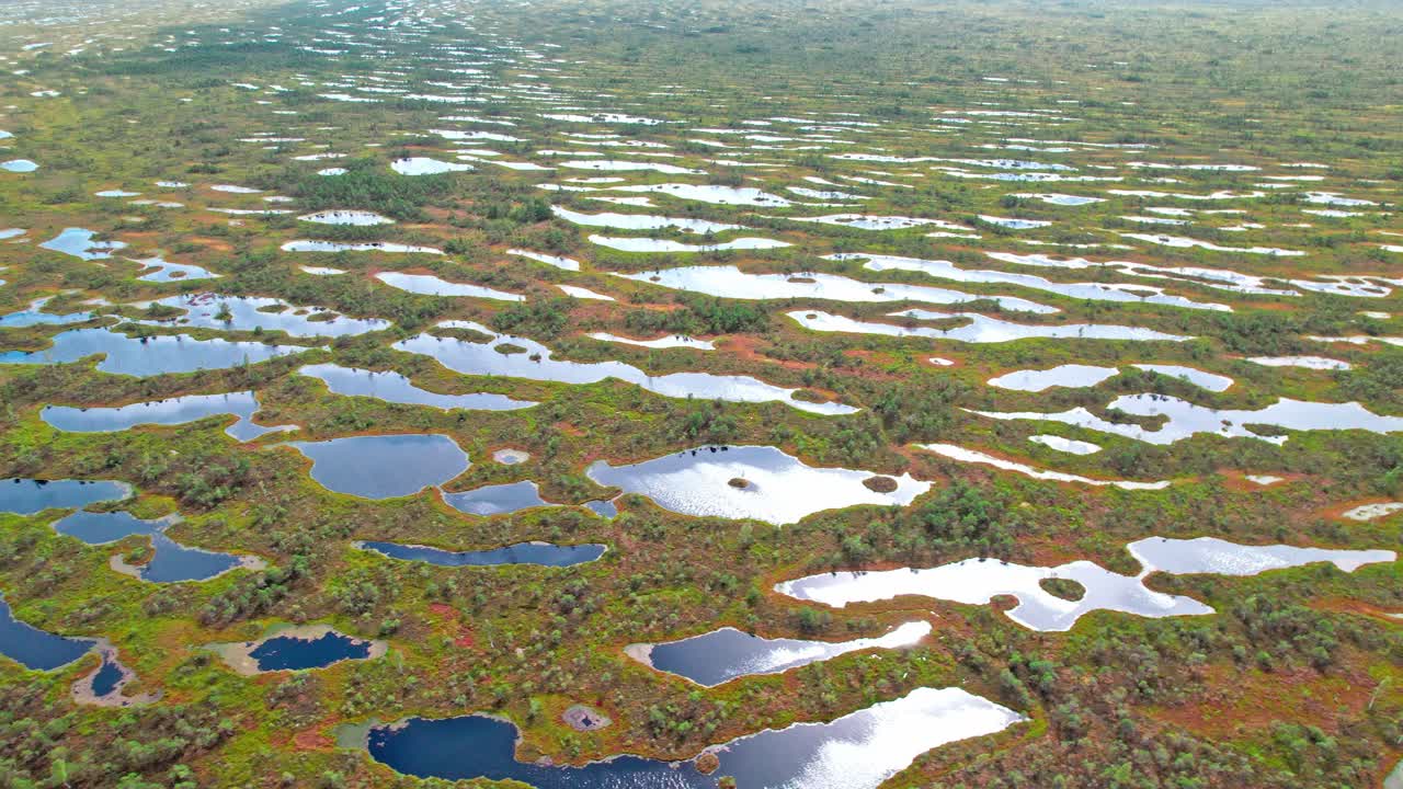 Exploring the unique swamp landscape of Kemeri in Latvia from above