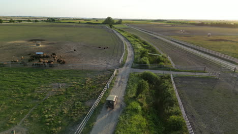 granja de bisontes en europa vista desde el aire