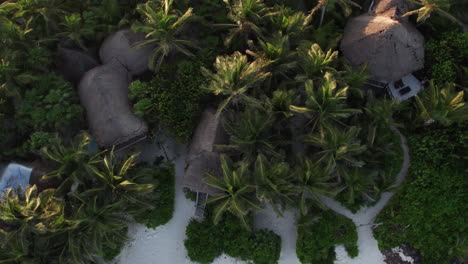 Top-down-aerial-view-of-cabanas-and-huts-on-beautiful-white-sand-beach-in-tropical-paradise-in-Tulum,-Mexico