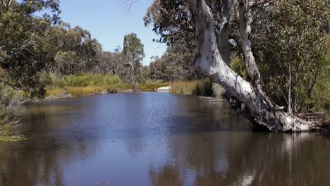 bald rock creek running through girraween national park, southern queensland australia