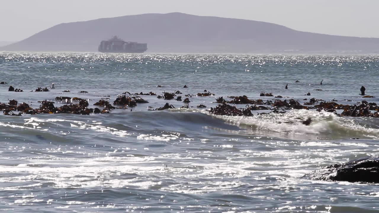 남아프리카 케이프타운의 바다